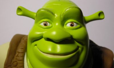 Shrek Doll Close-Up on Face