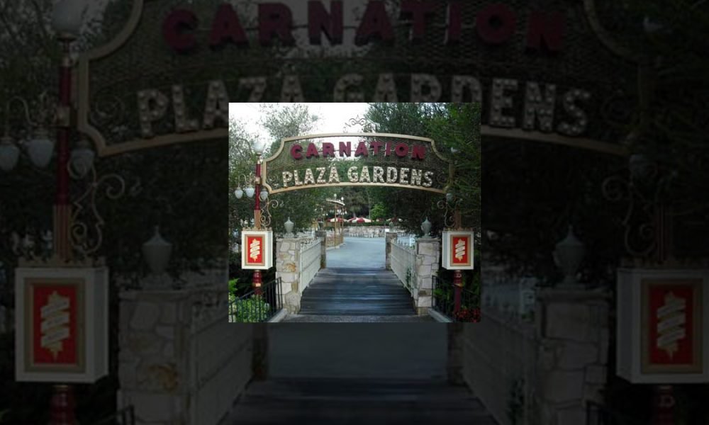 Pruning Carnation Plaza Gardens makes room for future growth at